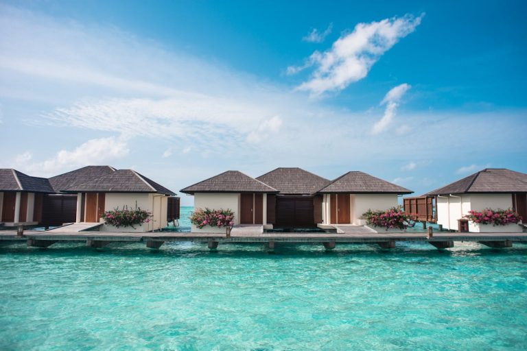 Explore the Best Resorts and Cruises for 2024